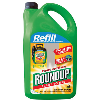 Roundup Ready Corn. Partial bag of growers choosing roundup , genetically 